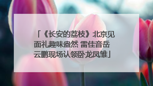 《长安的荔枝》北京见面礼趣味盎然 雷佳音岳云鹏现场认领卧龙凤雏