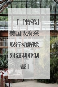 「特稿」美国政府采取行动解除对叙利亚制裁