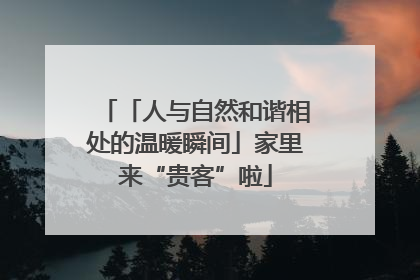 「人与自然和谐相处的温暖瞬间」家里来“贵客”啦