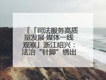 「司法服务高质量发展·媒体一线观察」浙江绍兴：法治“针脚”绣出纺织新天地