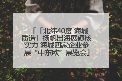 「北纬40度 海城质造」扬帆出海展硬核实力 海城四家企业参展“中东欧”展览会