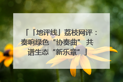 「地评线」荔枝网评：奏响绿色“协奏曲” 共谱生态“新乐章”