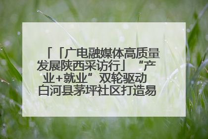 「广电融媒体高质量发展陕西采访行」“产业+就业”双轮驱动 白河县茅坪社区打造易地搬迁后扶新样本