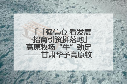 「强信心 看发展·招商引资拼落地」高原牧场“牛”劲足——甘肃华予高原牧场高标准奶牛肉牛养殖项目一线见闻