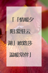「情暖夕阳.爱驻云湖」欧路莎温暖常伴
