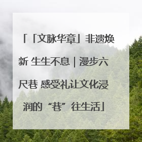 「文脉华章」非遗焕新 生生不息｜漫步六尺巷 感受礼让文化浸润的“巷”往生活