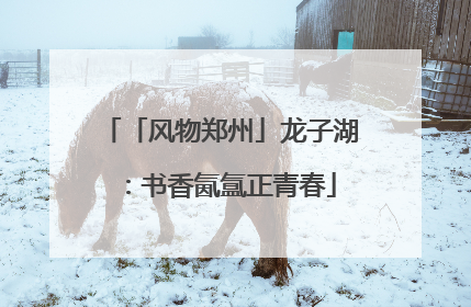 「风物郑州」龙子湖：书香氤氲正青春