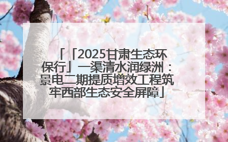 「2025甘肃生态环保行」一渠清水润绿洲：景电二期提质增效工程筑牢西部生态安全屏障