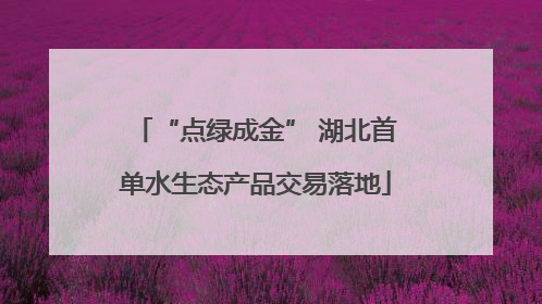 “点绿成金” 湖北首单水生态产品交易落地