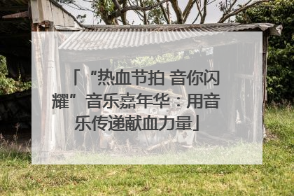 “热血节拍 音你闪耀”音乐嘉年华：用音乐传递献血力量