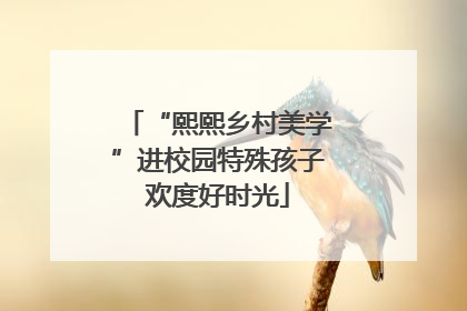 “熙熙乡村美学”进校园特殊孩子欢度好时光