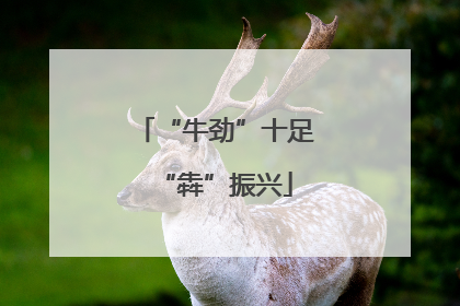 “牛劲”十足“犇”振兴