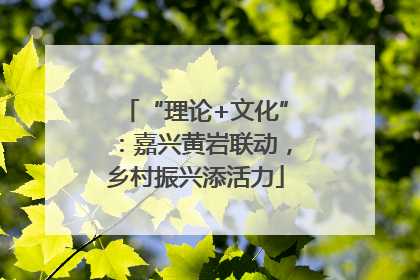 “理论+文化”：嘉兴黄岩联动，乡村振兴添活力