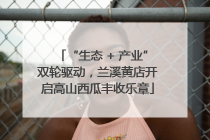 “生态 + 产业”双轮驱动，兰溪黄店开启高山西瓜丰收乐章