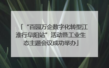 “百园万企数字化转型江淮行阜阳站”活动暨工业生态主题会议成功举办