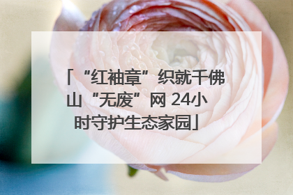 “红袖章”织就千佛山“无废”网 24小时守护生态家园