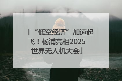 “低空经济”加速起飞！杨浦亮相2025世界无人机大会