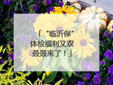 “临沂保”体检福利又双叒叕来了！