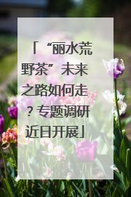 “丽水荒野茶”未来之路如何走？专题调研近日开展
