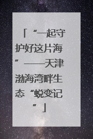 “一起守护好这片海”——天津渤海湾畔生态“蜕变记”