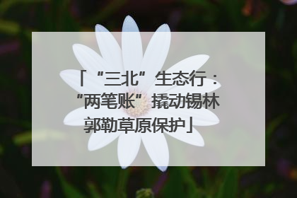 “三北”生态行：“两笔账”撬动锡林郭勒草原保护