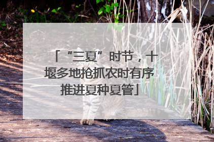 “三夏”时节，十堰多地抢抓农时有序推进夏种夏管
