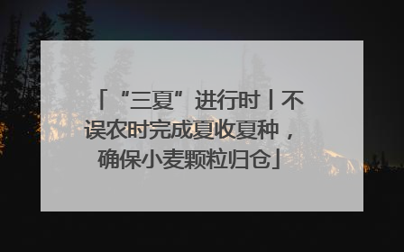 “三夏”进行时丨不误农时完成夏收夏种，确保小麦颗粒归仓