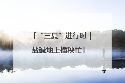 “三夏”进行时｜盐碱地上插秧忙