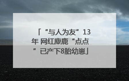 “与人为友”13年 网红麋鹿“点点”已产下8胎幼崽