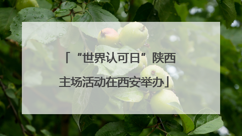 “世界认可日”陕西主场活动在西安举办