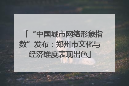 “中国城市网络形象指数”发布：郑州市文化与经济维度表现出色
