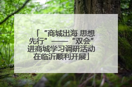 “商城出海 思想先行”——“双会”进商城学习调研活动在临沂顺利开展