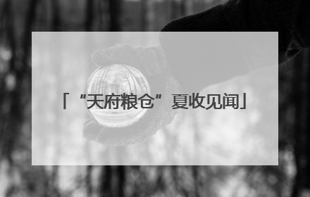“天府粮仓”夏收见闻