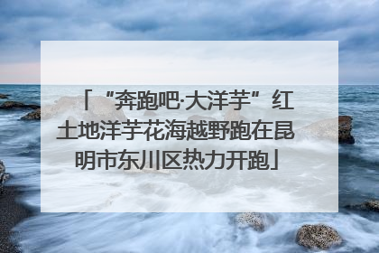 “奔跑吧·大洋芋”红土地洋芋花海越野跑在昆明市东川区热力开跑
