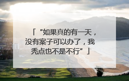 “如果真的有一天，没有案子可以办了，我秃点也不是不行”