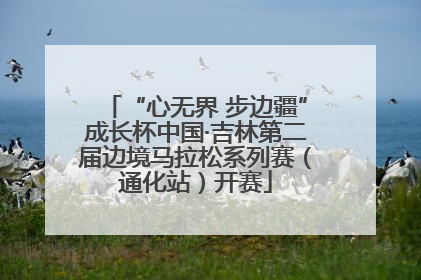 “心无界 步边疆”成长杯中国·吉林第二届边境马拉松系列赛（通化站）开赛