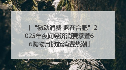 “徽动消费 购在合肥”2025年夜间经济消费季暨66购物月掀起消费热潮