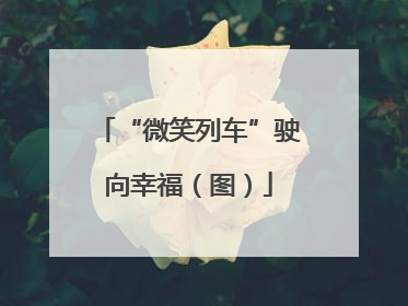 “微笑列车”驶向幸福（图）