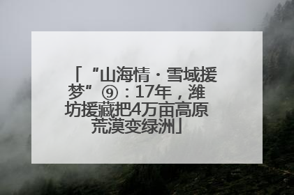 “山海情・雪域援梦”⑨：17年，潍坊援藏把4万亩高原荒漠变绿洲