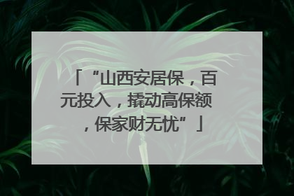 “山西安居保，百元投入，撬动高保额，保家财无忧”