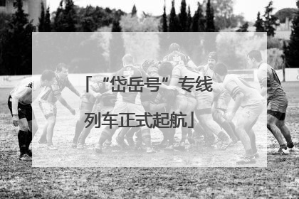“岱岳号”专线列车正式起航