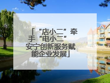 “店小二”牵手“电小二” 安宁创新服务赋能企业发展