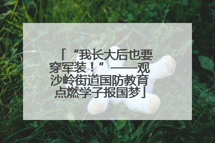 “我长大后也要穿军装！”——观沙岭街道国防教育点燃学子报国梦