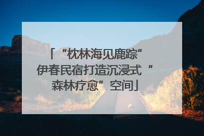 “枕林海见鹿踪” 伊春民宿打造沉浸式“森林疗愈”空间