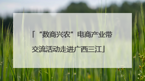 “数商兴农”电商产业带交流活动走进广西三江