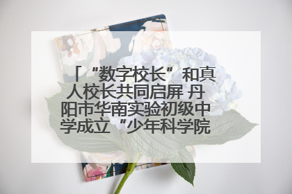 “数字校长”和真人校长共同启屏 丹阳市华南实验初级中学成立“少年科学院”共筑科技创新梦
