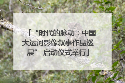 “时代的脉动：中国大运河影像叙事作品巡展” 启动仪式举行
