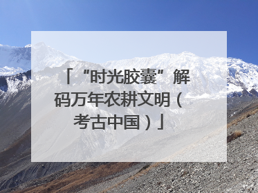 “时光胶囊”解码万年农耕文明（考古中国）