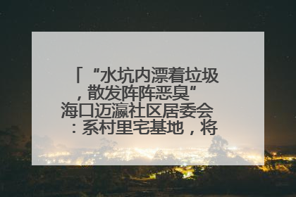 “水坑内漂着垃圾，散发阵阵恶臭” 海口迈瀛社区居委会：系村里宅基地，将派人打捞垃圾
