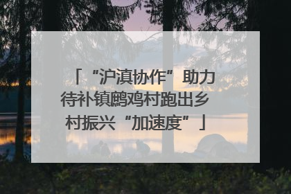 “沪滇协作”助力待补镇鹧鸡村跑出乡村振兴“加速度”
